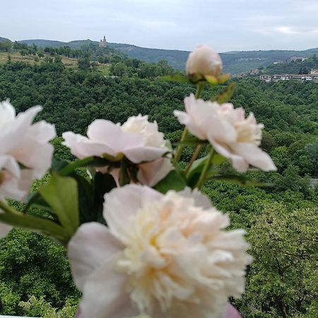 Dervent Apartment Veliko Tarnovo Eksteriør billede