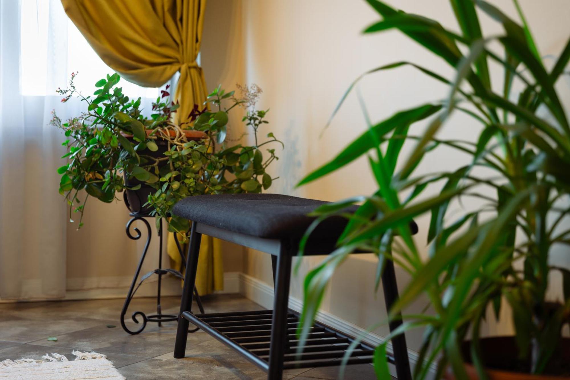 Dervent Apartment Veliko Tarnovo Eksteriør billede