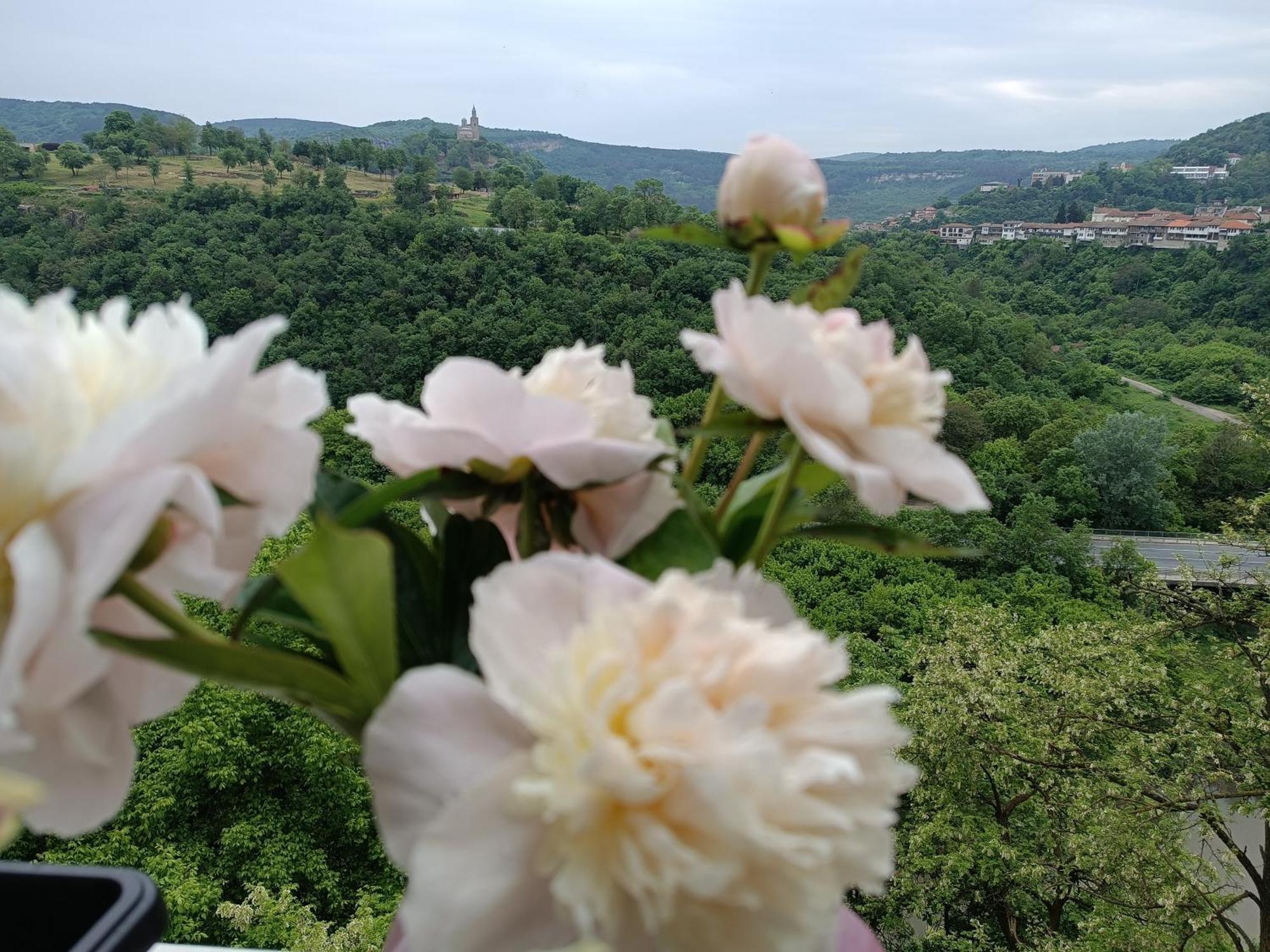 Dervent Apartment Veliko Tarnovo Eksteriør billede